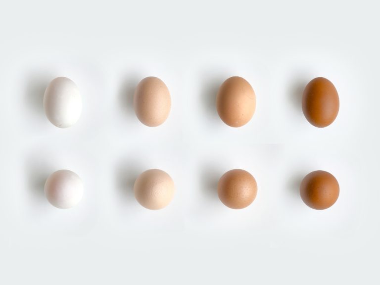4 different types of eggs